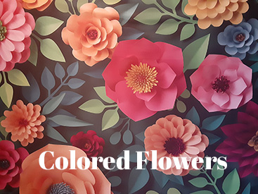 Colored Flowers